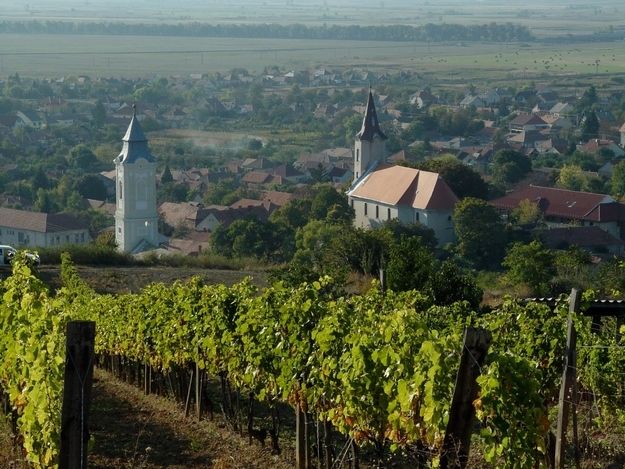 Tokaj Private Day Tour from Budapest - The Budapest-to-Tokaj day plan: what the schedule feels like