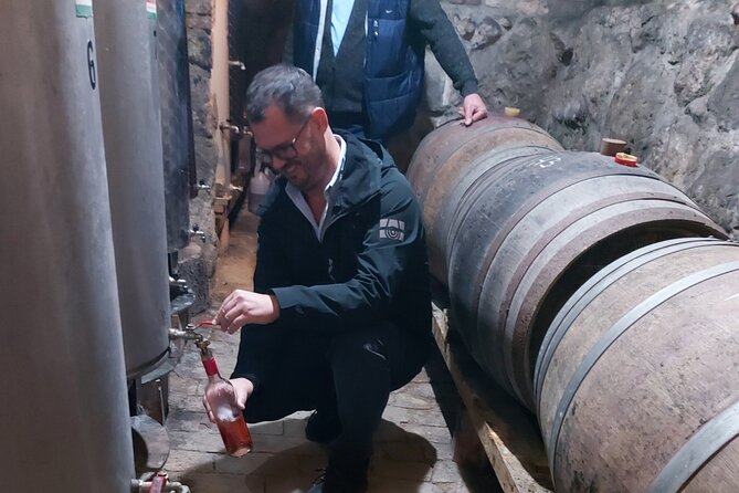 Wine Tasting in the Countryside from Budapest - Key highlights to watch for