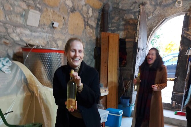 Wine Tasting in the Countryside from Budapest - What’s included to eat: sausages, cheese, olives, and more