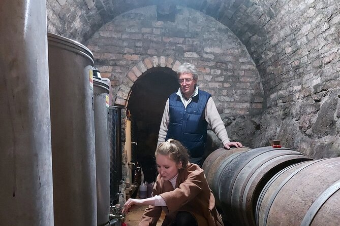 Wine Tasting in the Countryside from Budapest - Price and value: is $90 per person worth it?