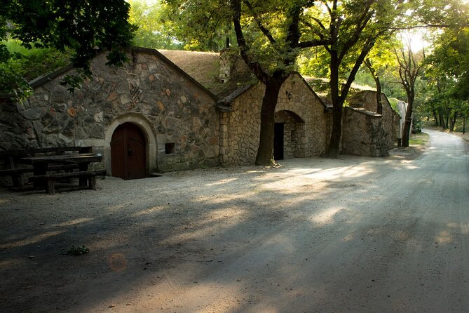 Wine Tasting in the Countryside from Budapest - Your guide, Miklós Csizmadia: wine talk with real personality